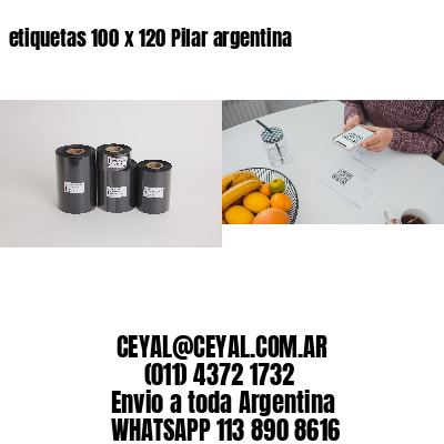 etiquetas 100 x 120 Pilar argentina