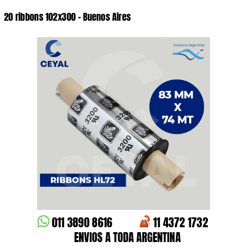 20 ribbons 102×300 – Buenos Aires