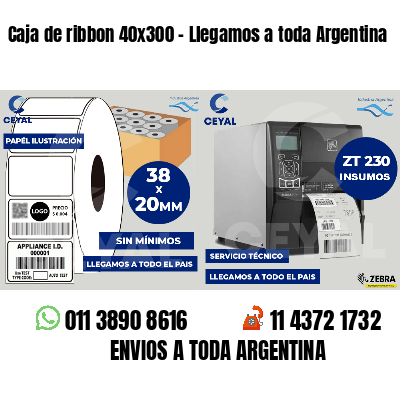 Caja de ribbon 40x300 - Llegamos a toda Argentina