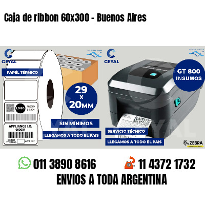 Caja de ribbon 60x300 - Buenos Aires