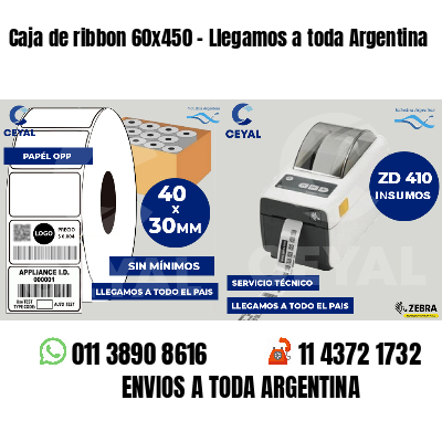 Caja de ribbon 60x450 - Llegamos a toda Argentina