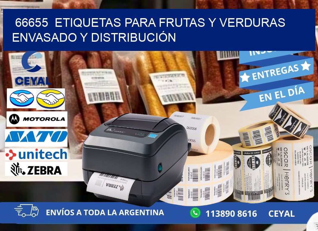 66655  ETIQUETAS PARA FRUTAS Y VERDURAS ENVASADO Y DISTRIBUCIÓN